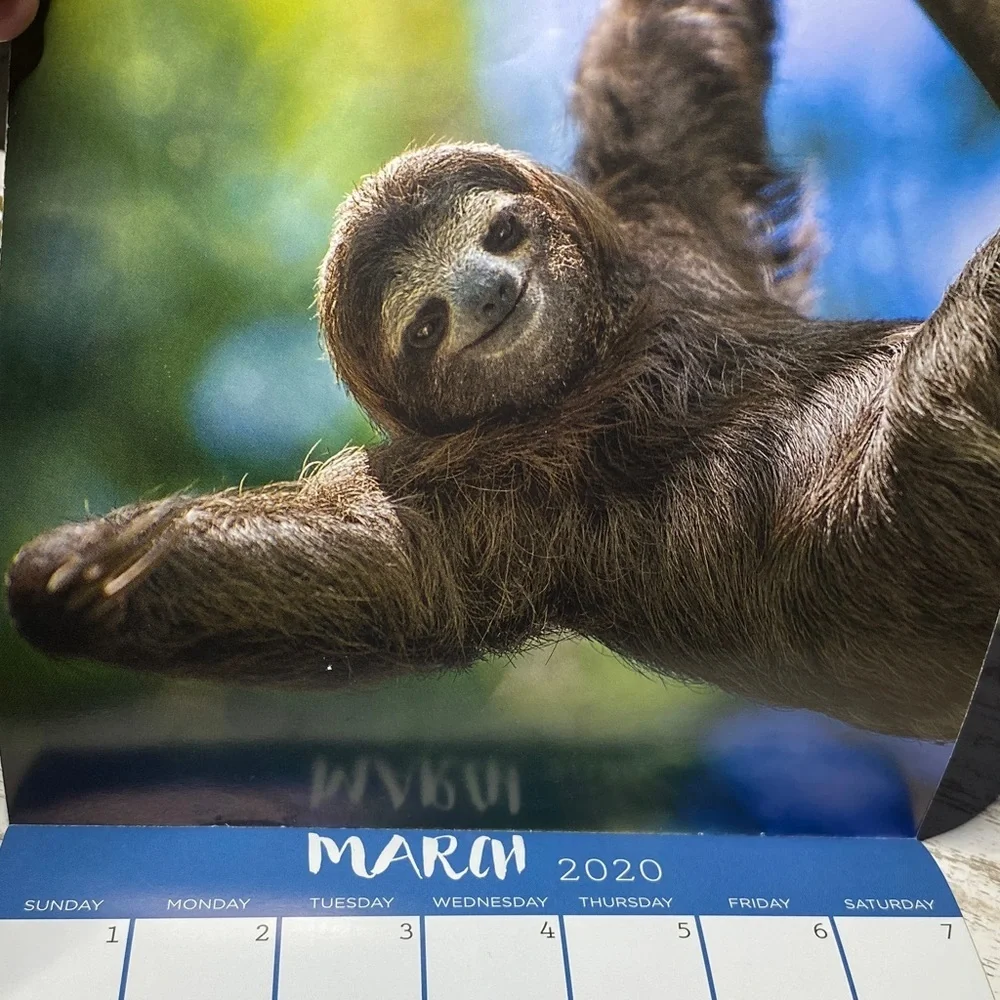 Sloths 2020 Calendar Unused New 7”x7”